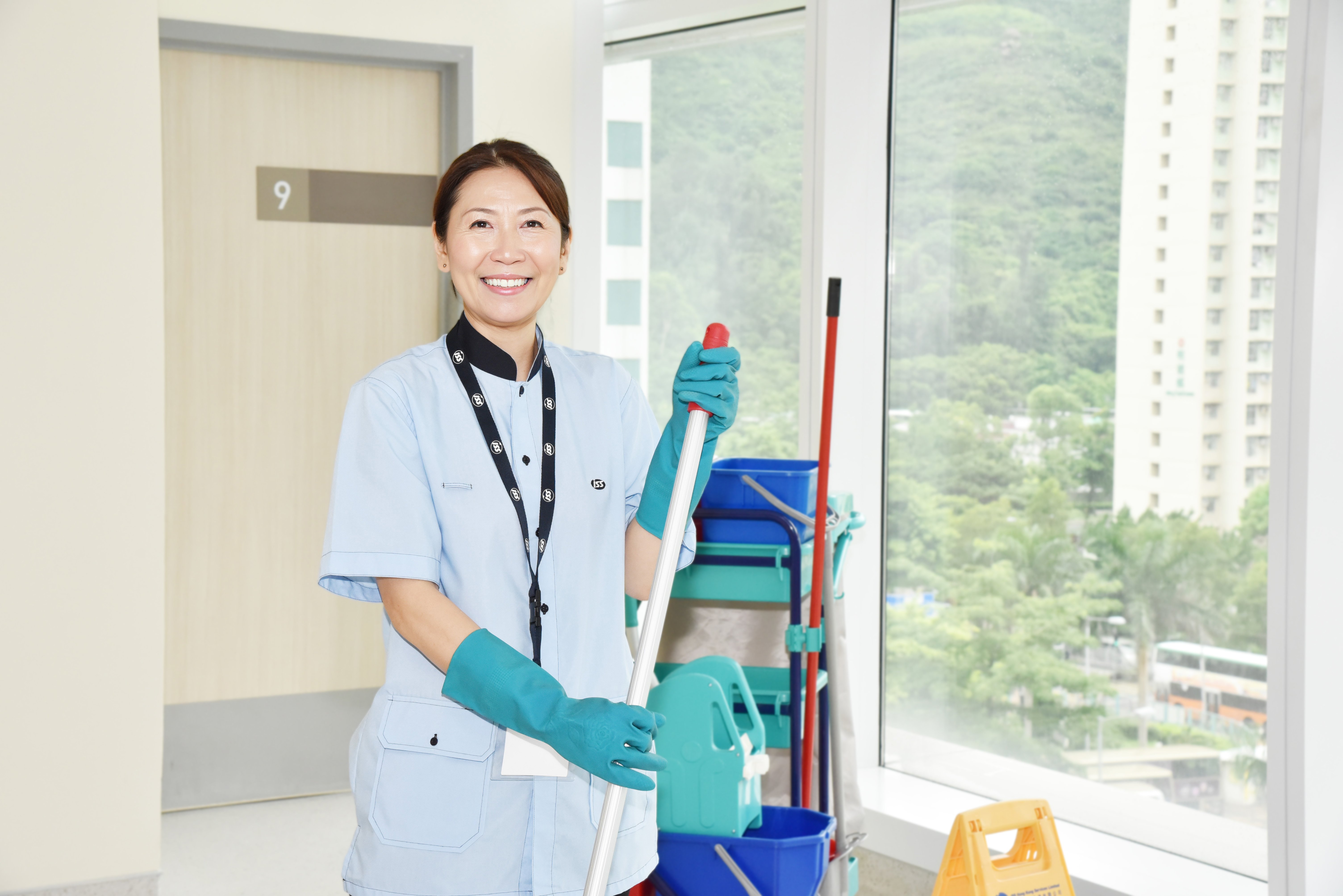 Domestic Cleaning Services